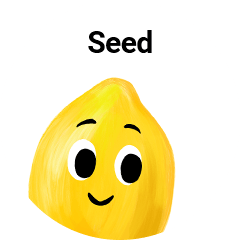 Seed